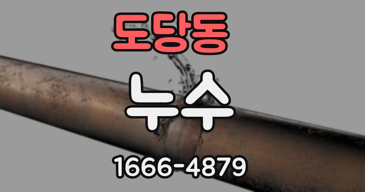 도당동 누수