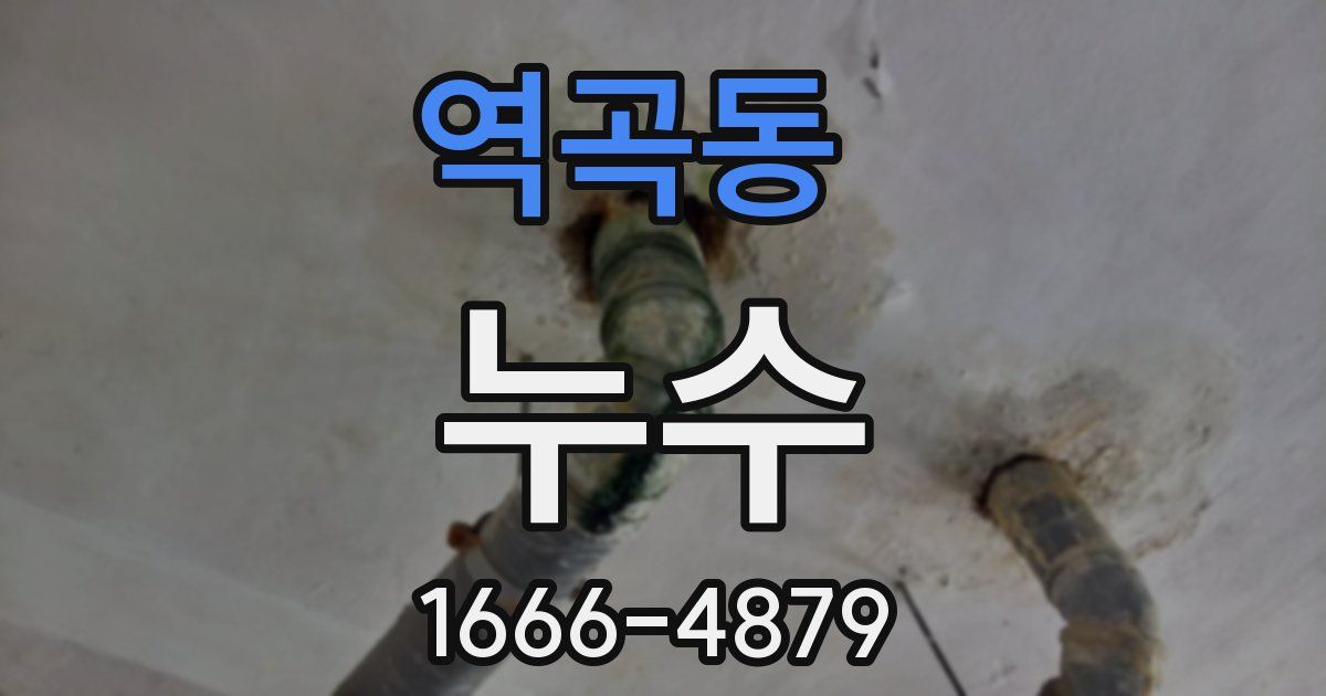 역곡동 누수