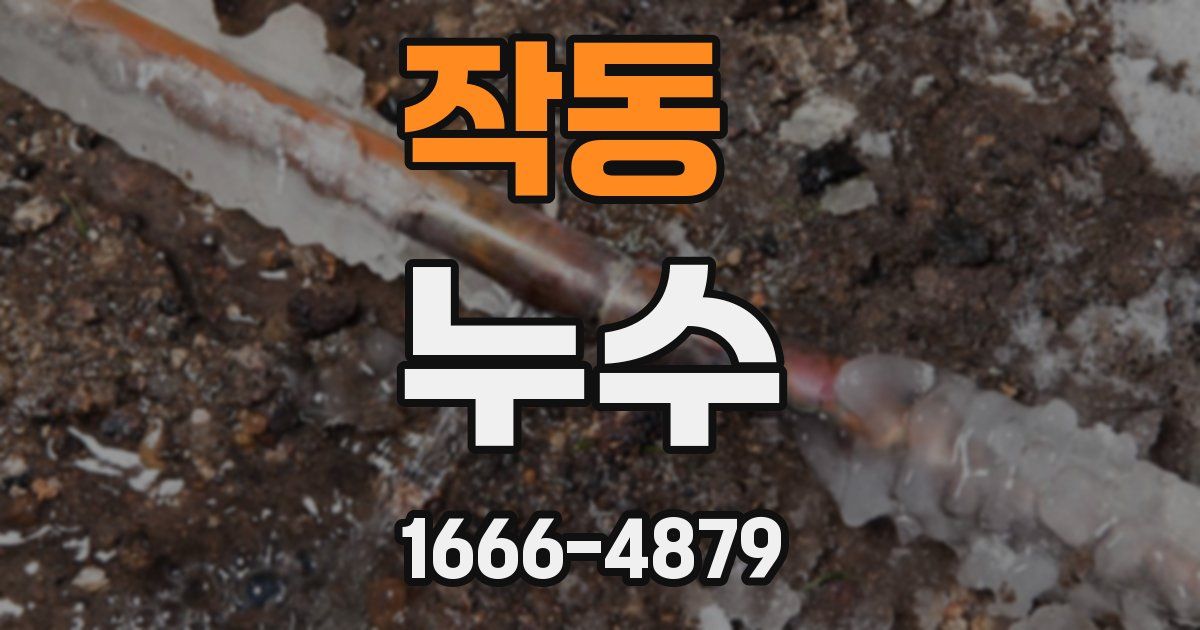 작동 누수