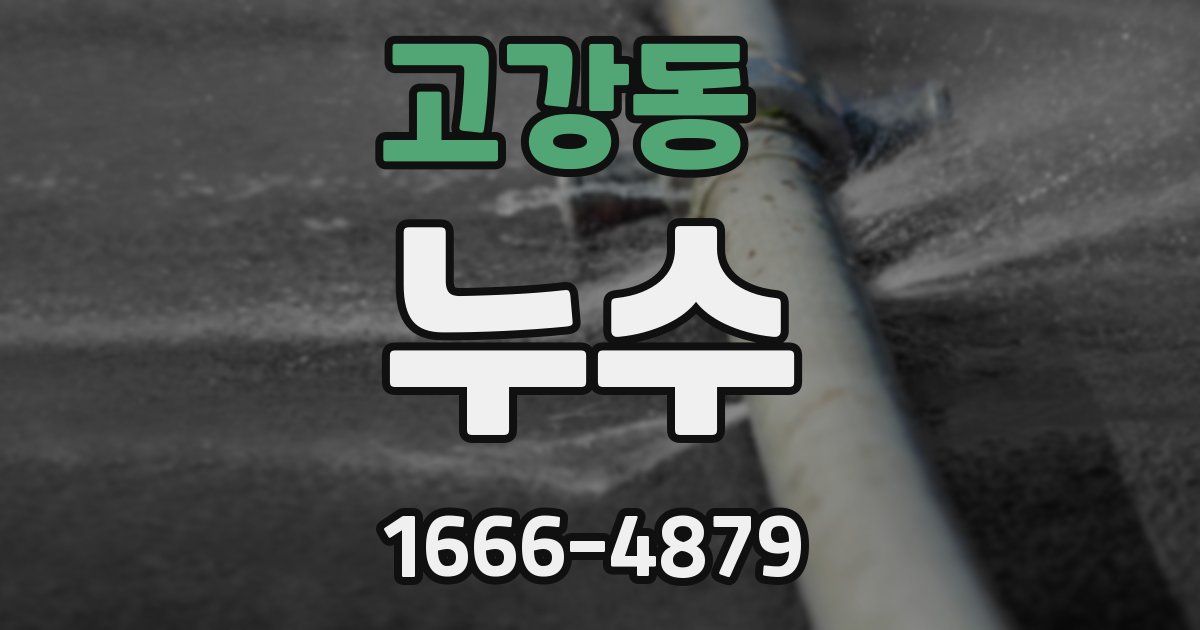 고강동 누수