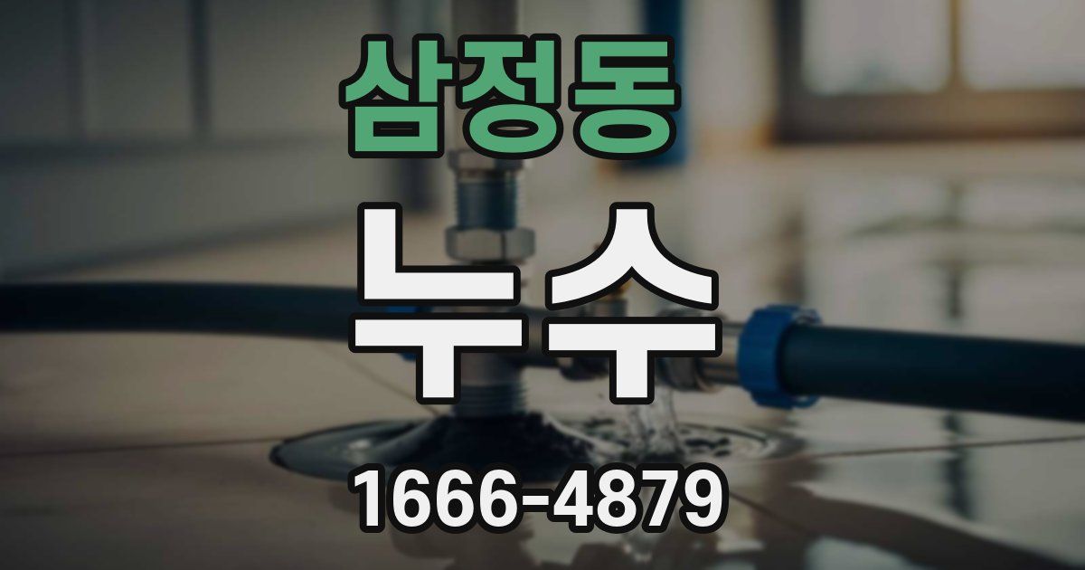 삼정동 누수