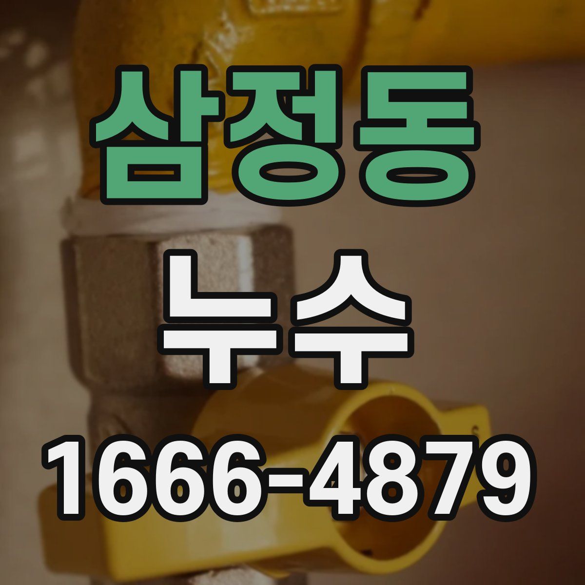 삼정동 누수