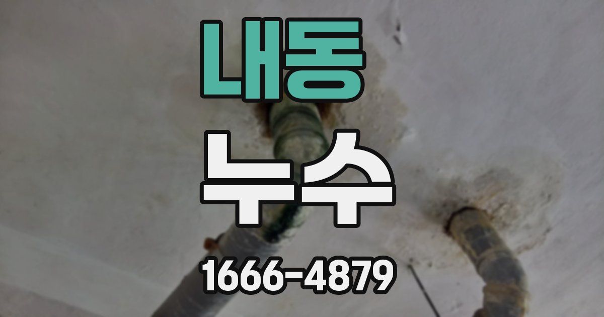 내동 누수
