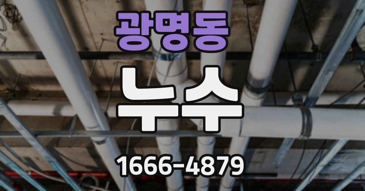 광명동 누수
