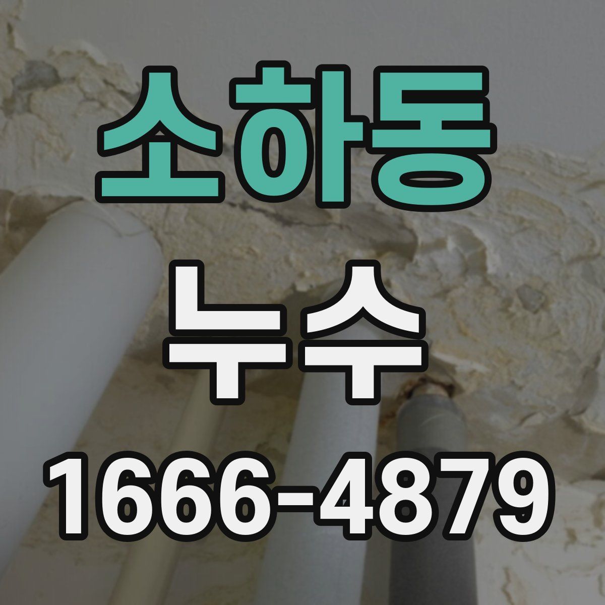 소하동 누수