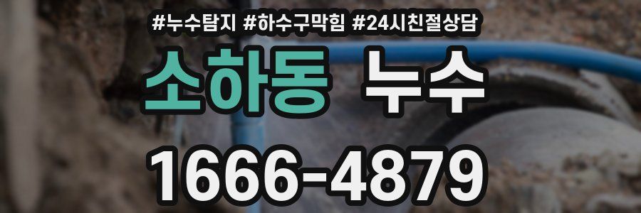 소하동 누수