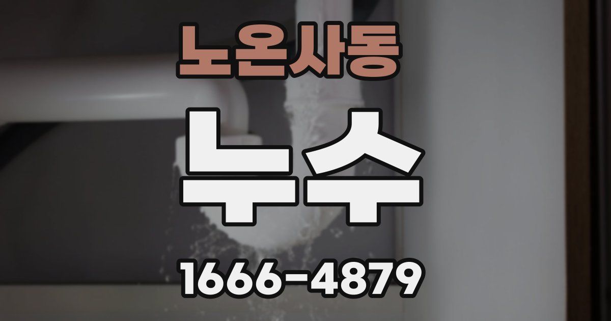 노온사동 누수