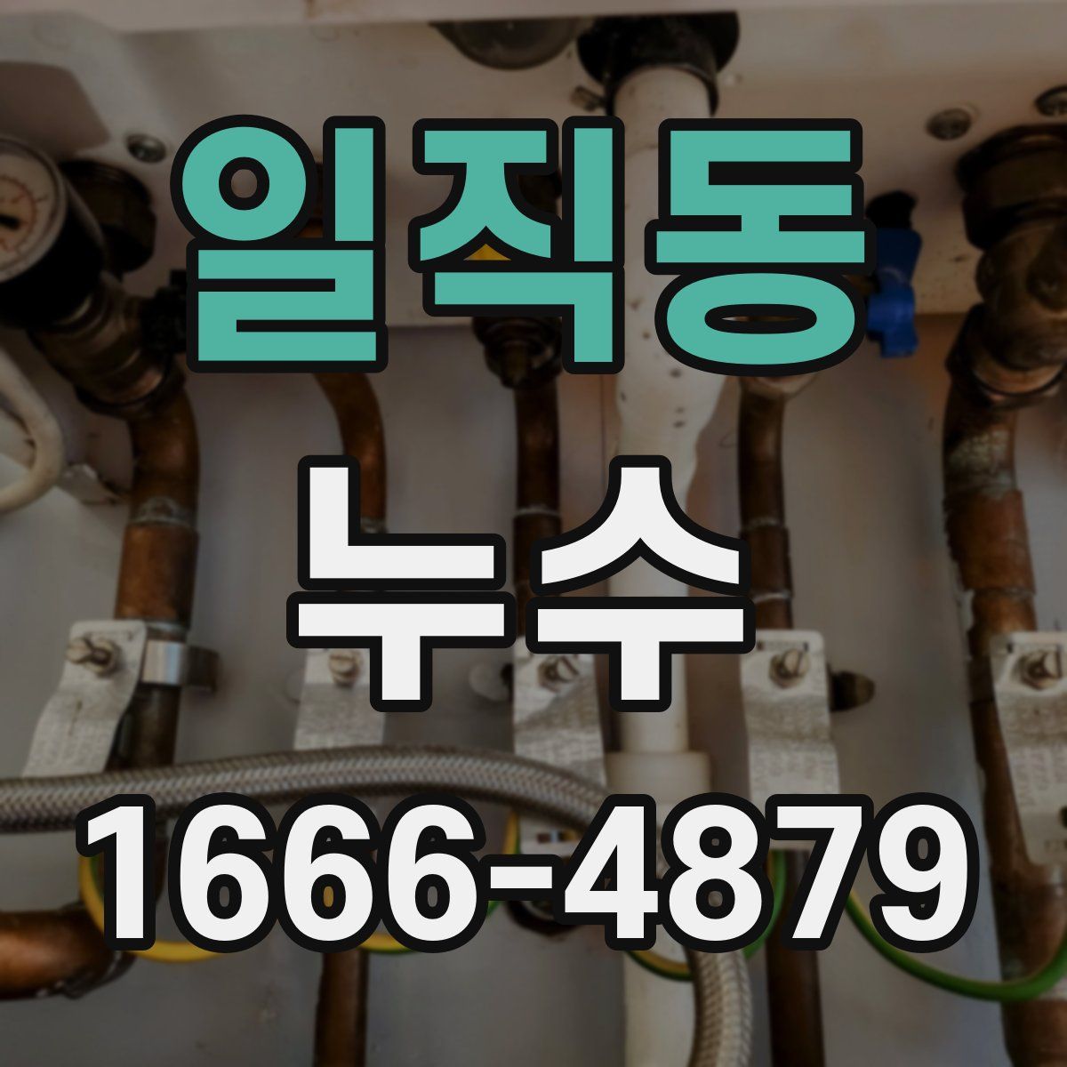 일직동 누수
