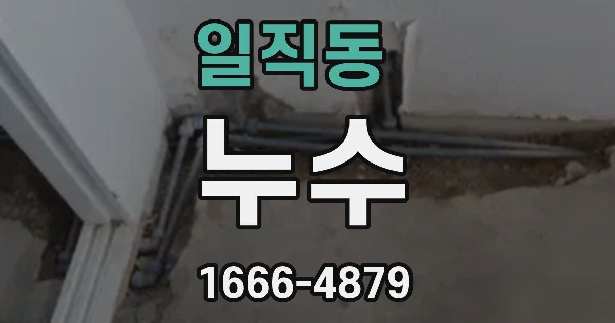 일직동 누수