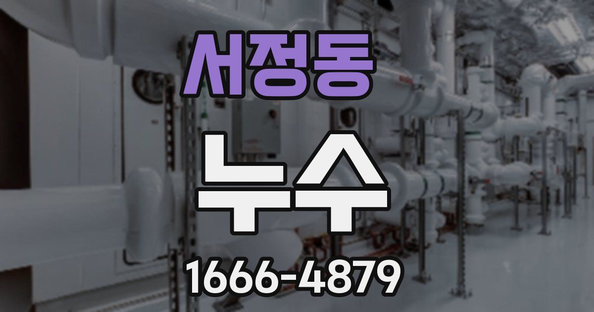 서정동 누수