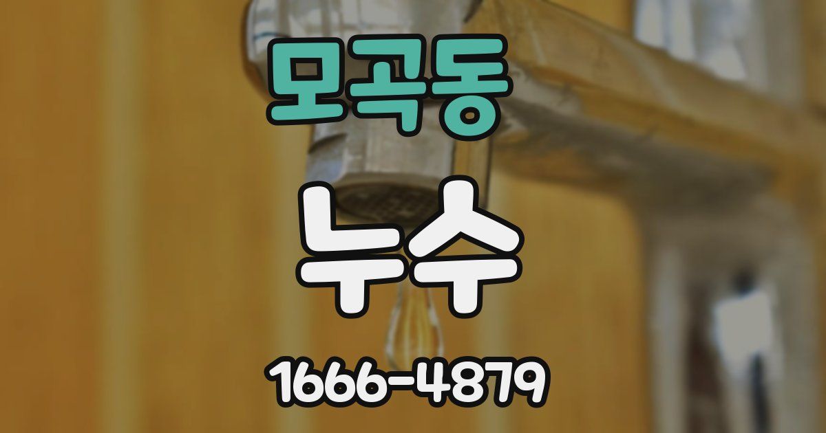모곡동 누수