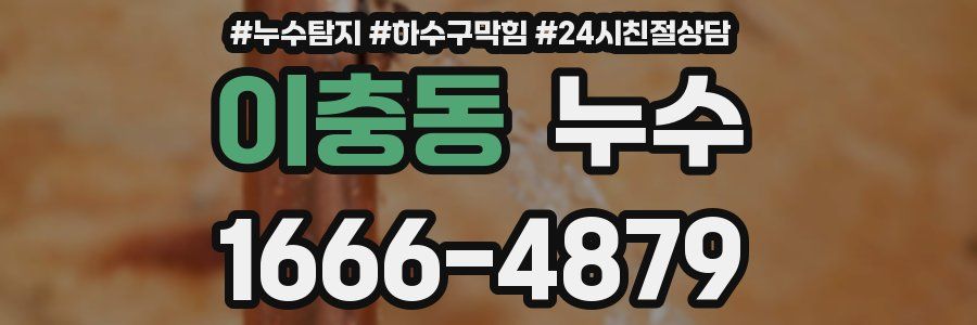 이충동 누수