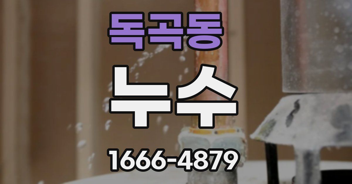 독곡동 누수