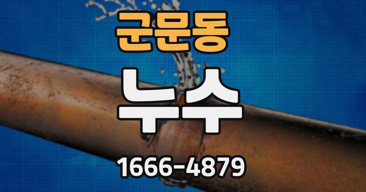 군문동 누수