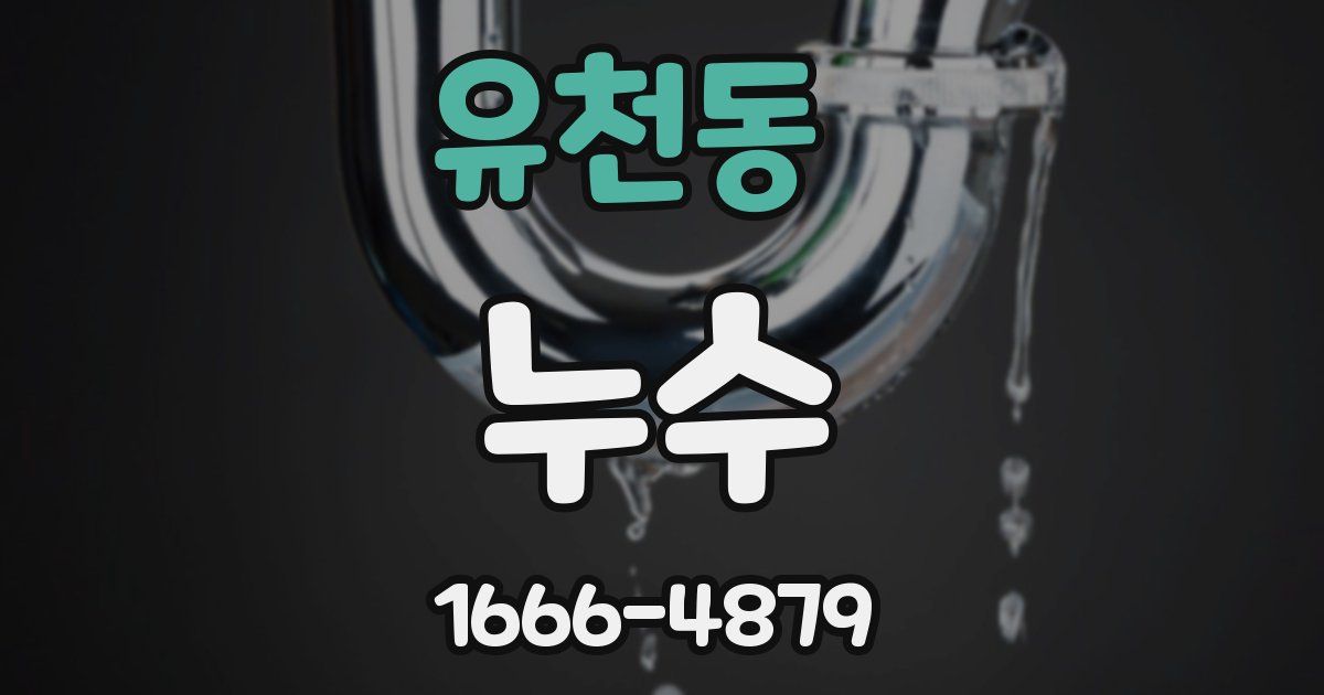 유천동 누수