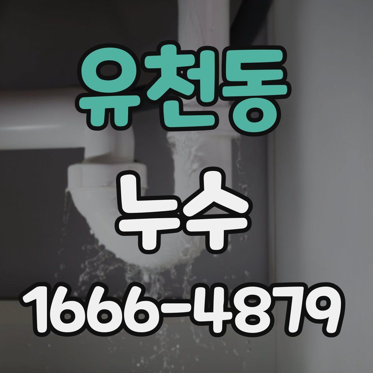 유천동 누수