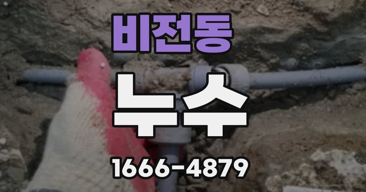 비전동 누수