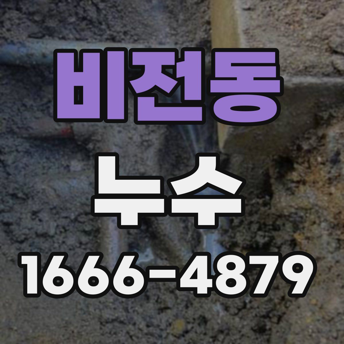 비전동 누수