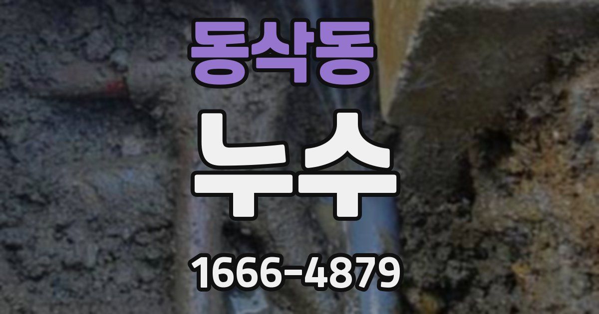 동삭동 누수