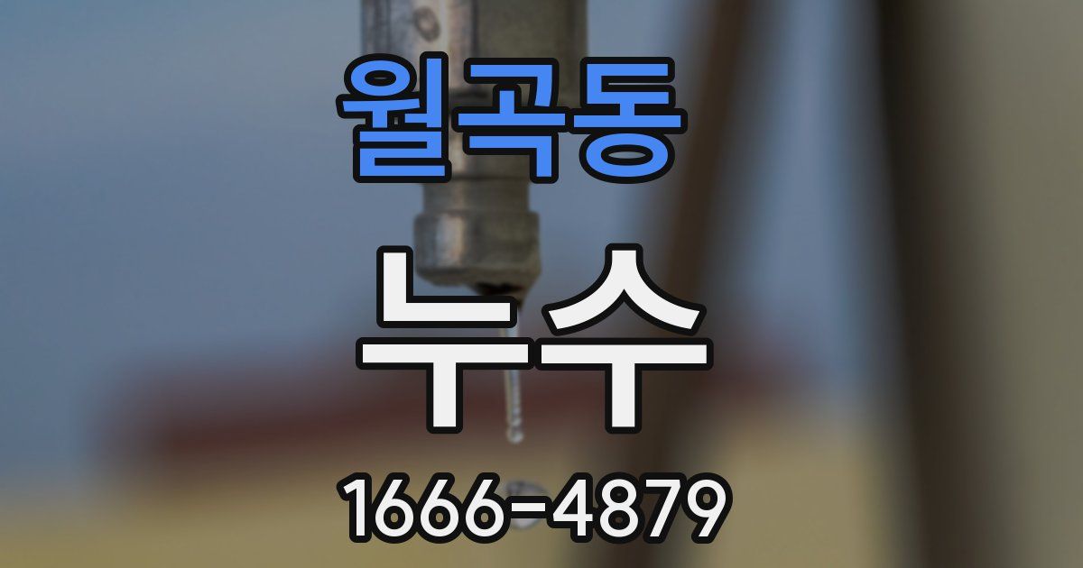 월곡동 누수