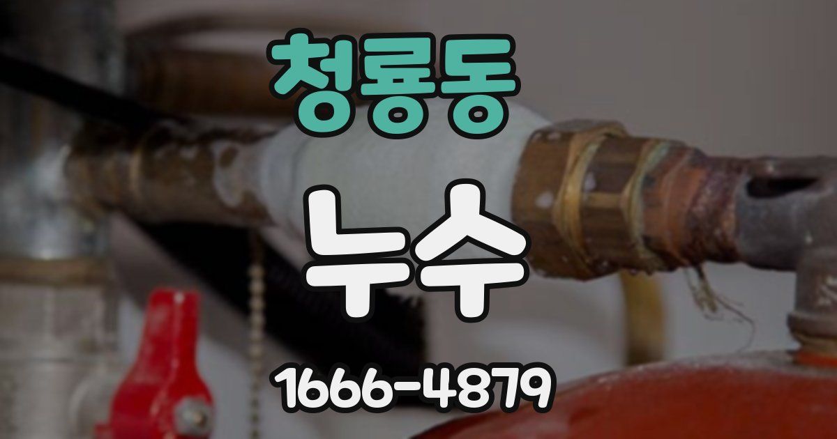 청룡동 누수