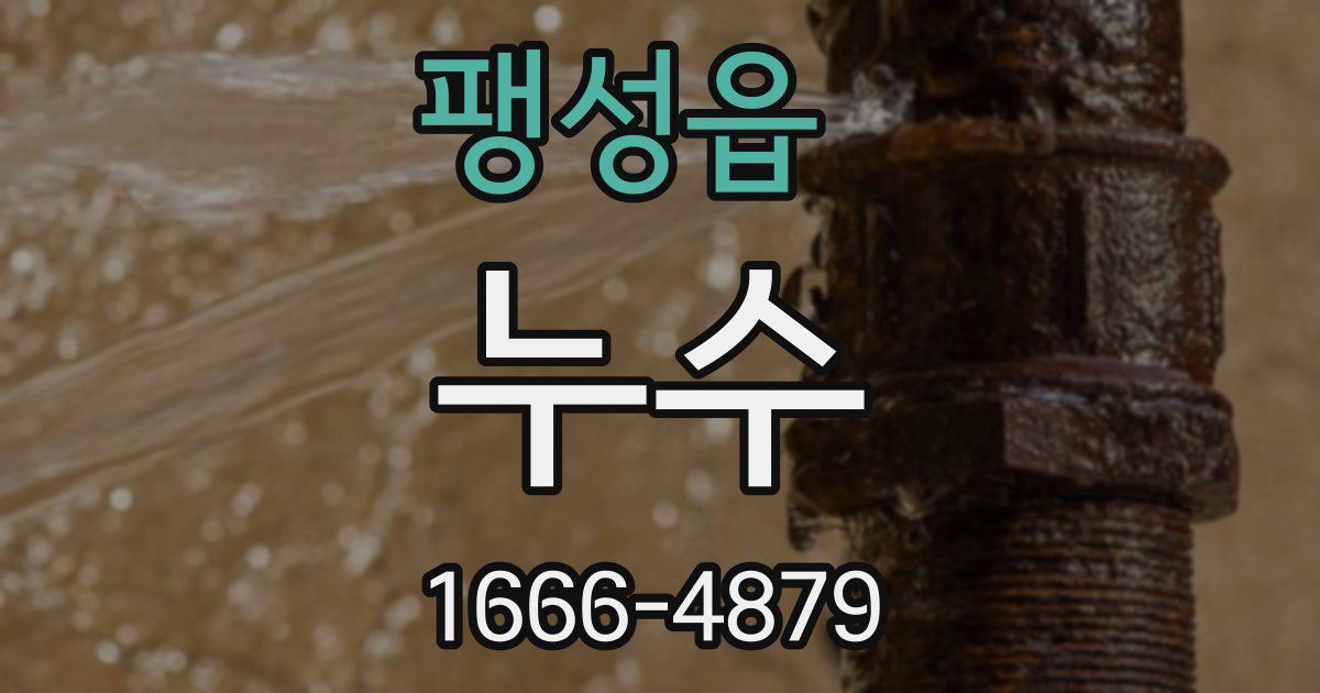 팽성읍 누수
