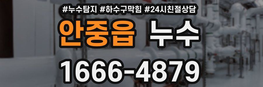 안중읍 누수