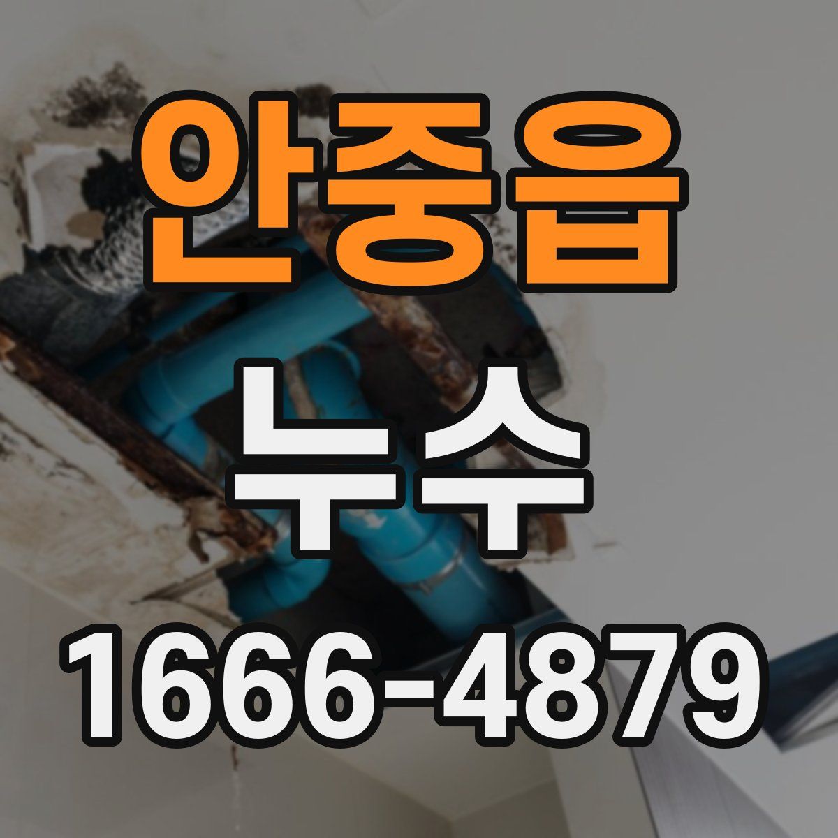 안중읍 누수