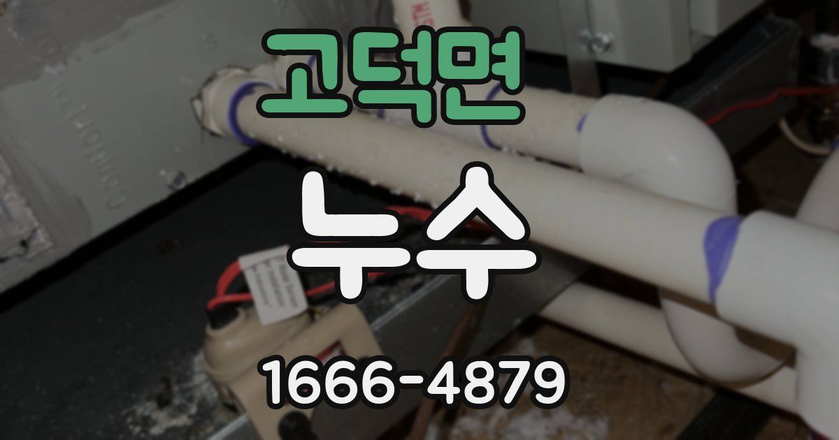 고덕면 누수