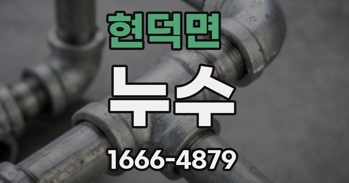 현덕면 누수