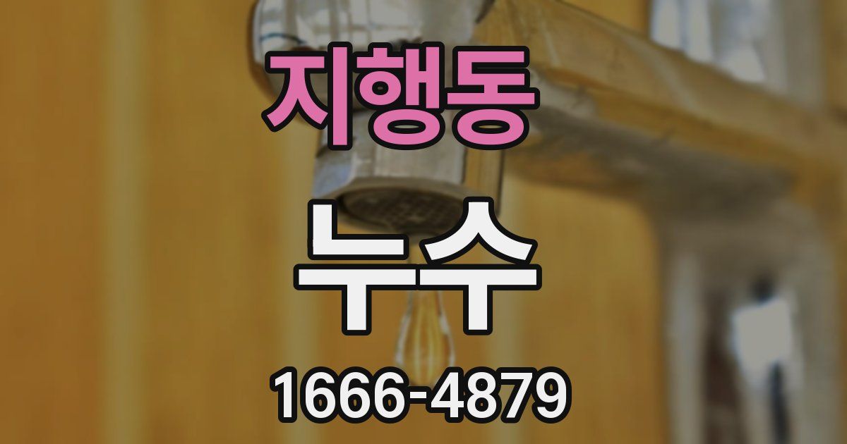 지행동 누수