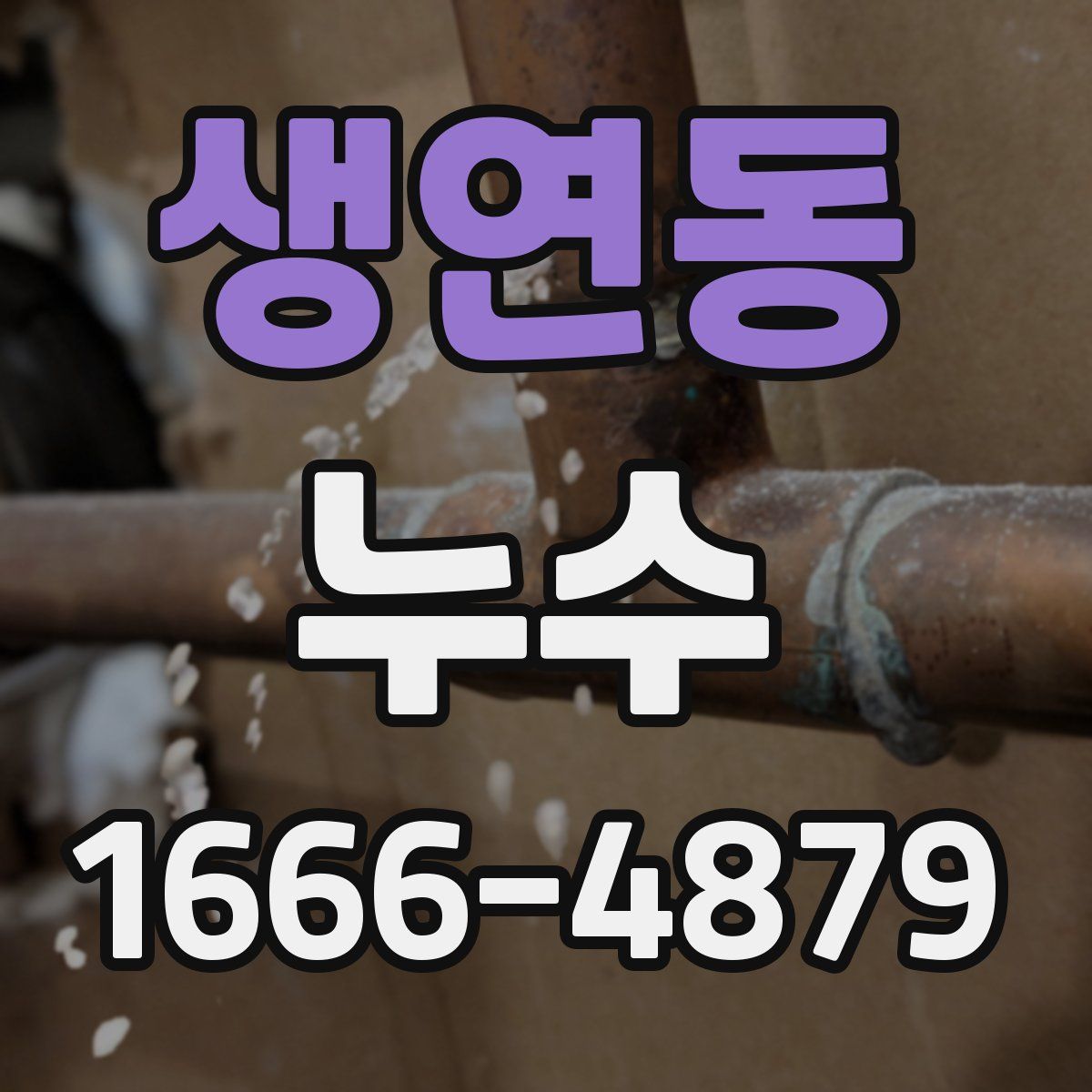 생연동 누수