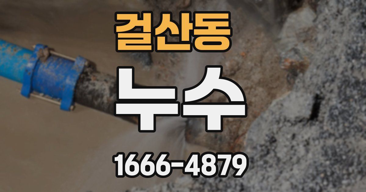 걸산동 누수