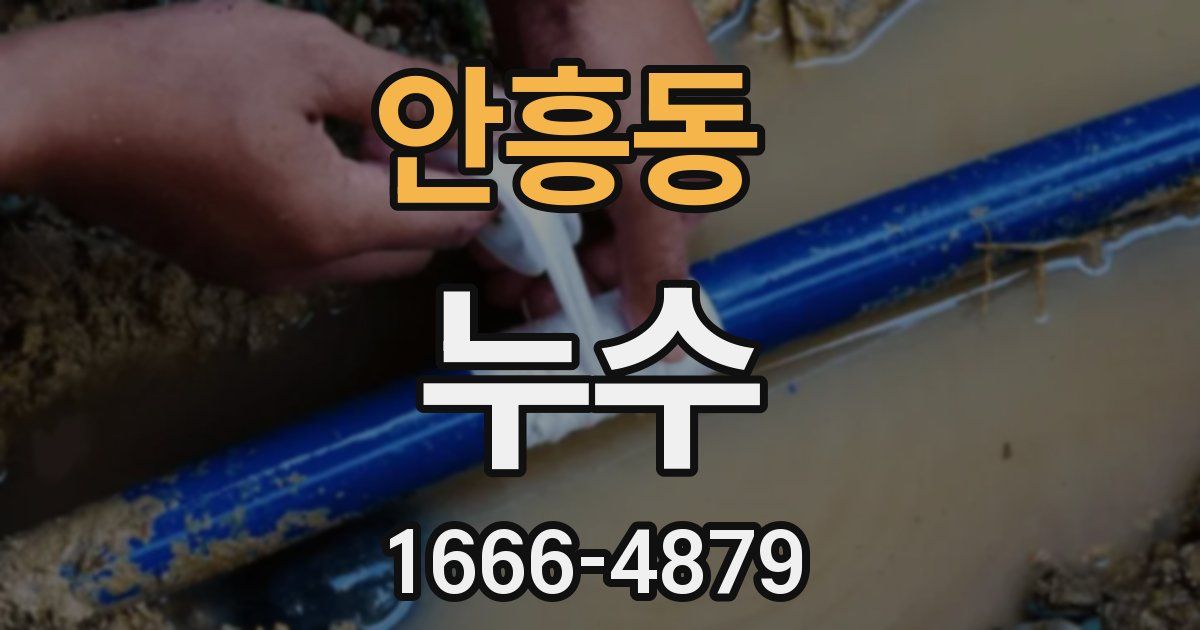안흥동 누수