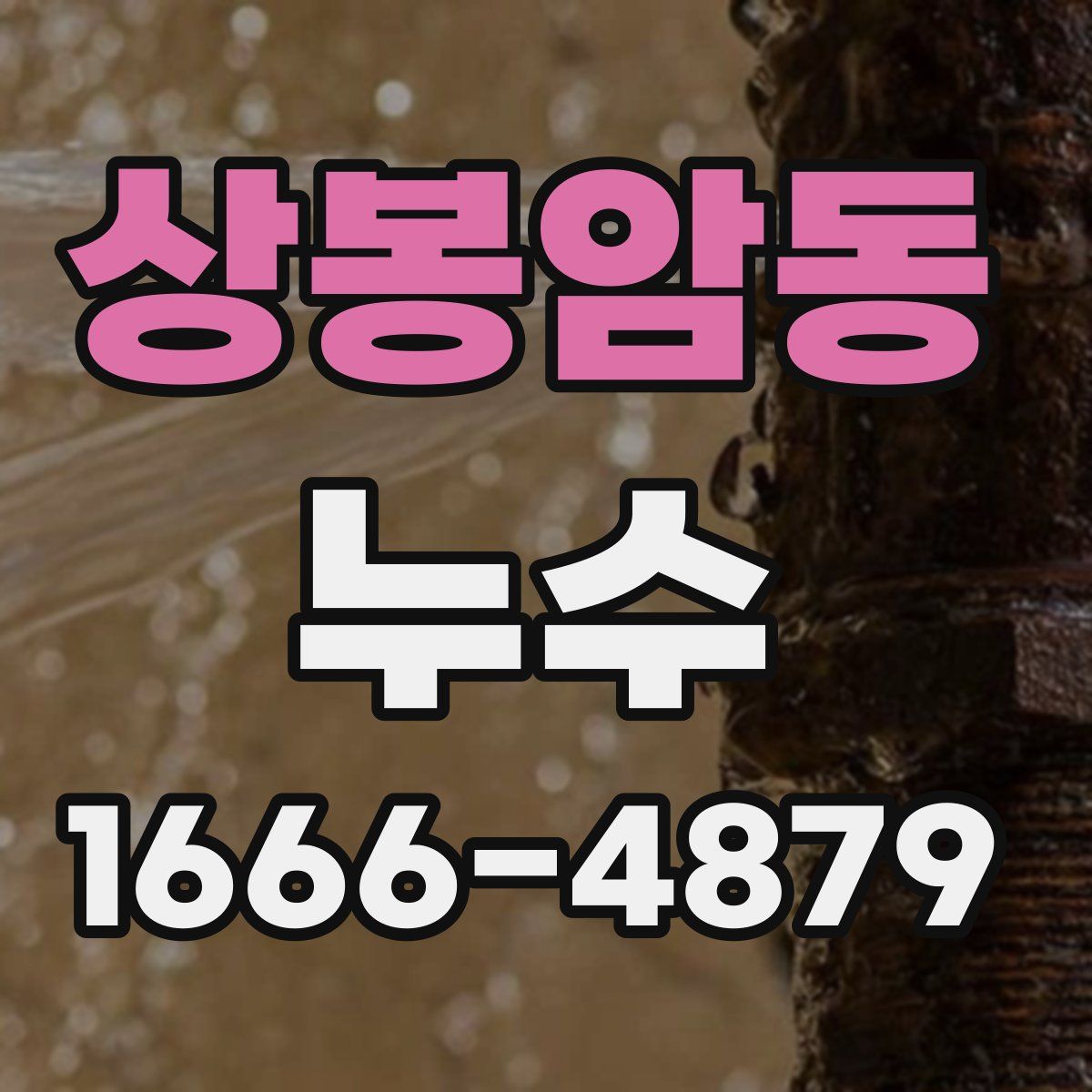 상봉암동 누수
