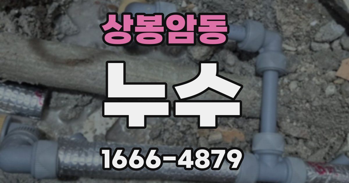 상봉암동 누수