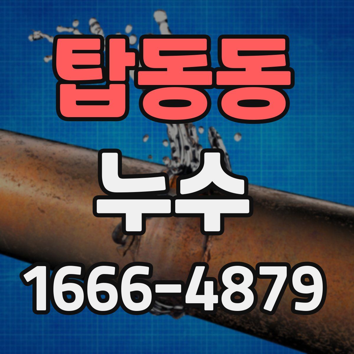 탑동동 누수