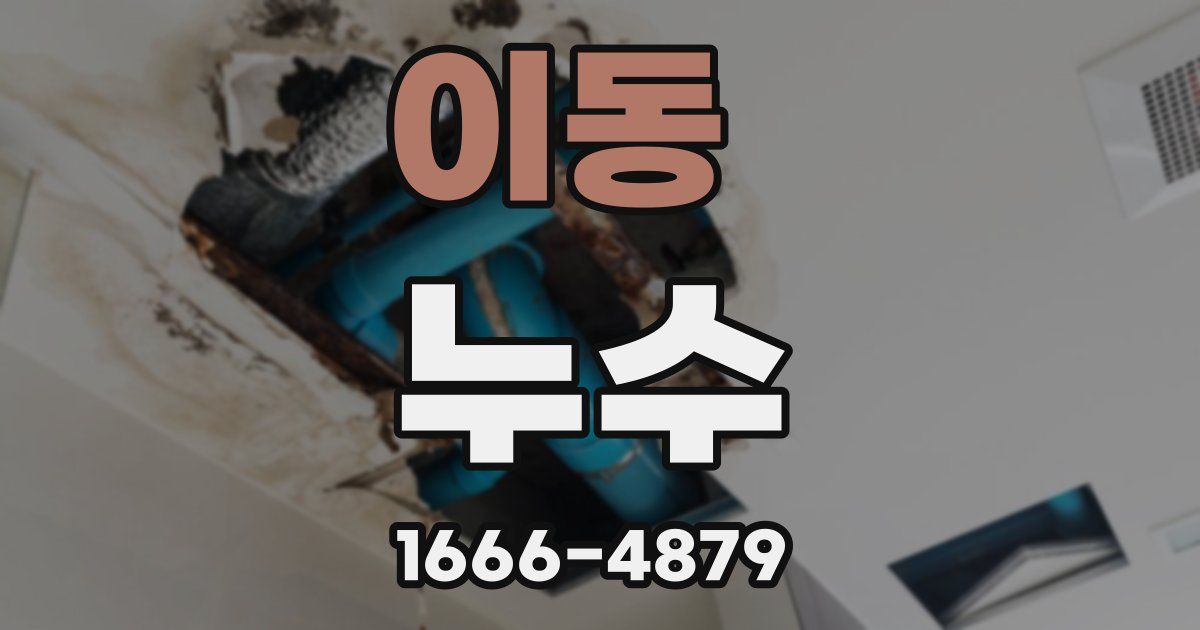 이동 누수