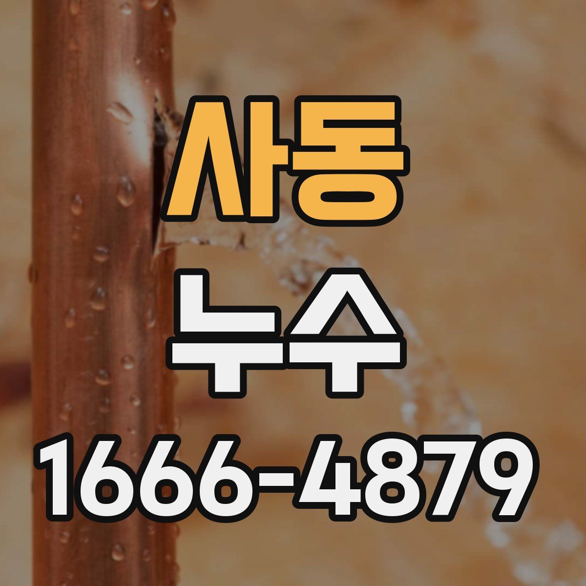 사동 누수