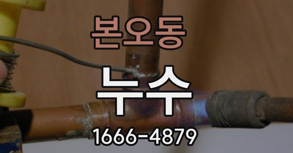 본오동 누수