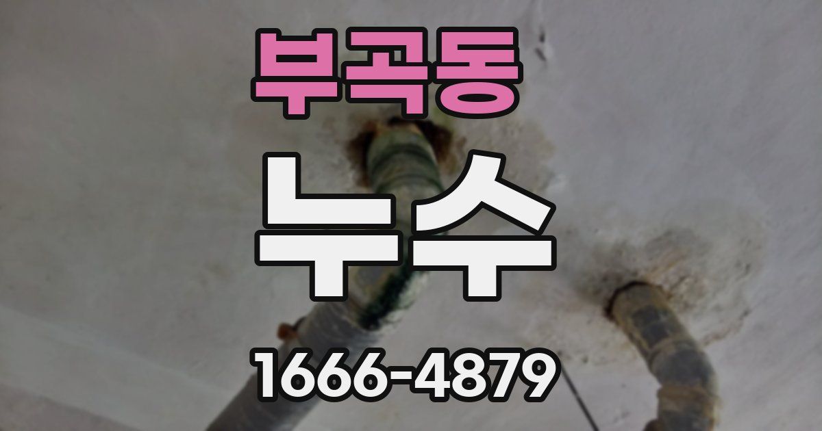 부곡동 누수