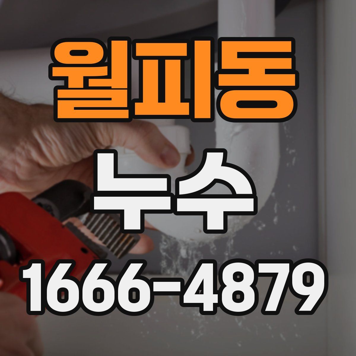 월피동 누수