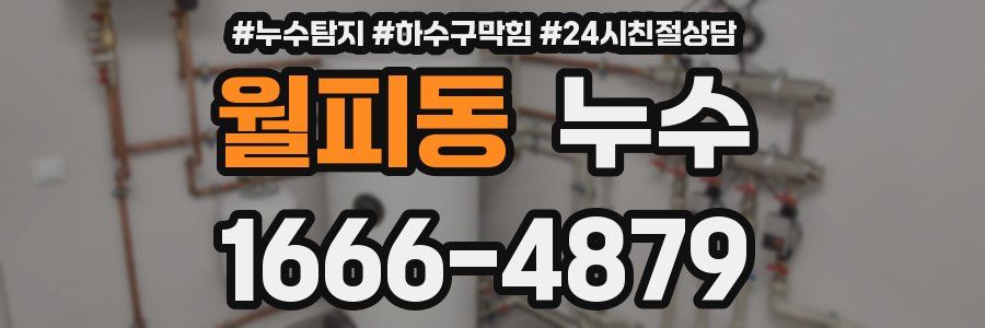 월피동 누수