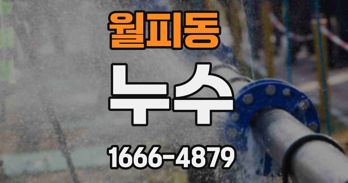 월피동 누수