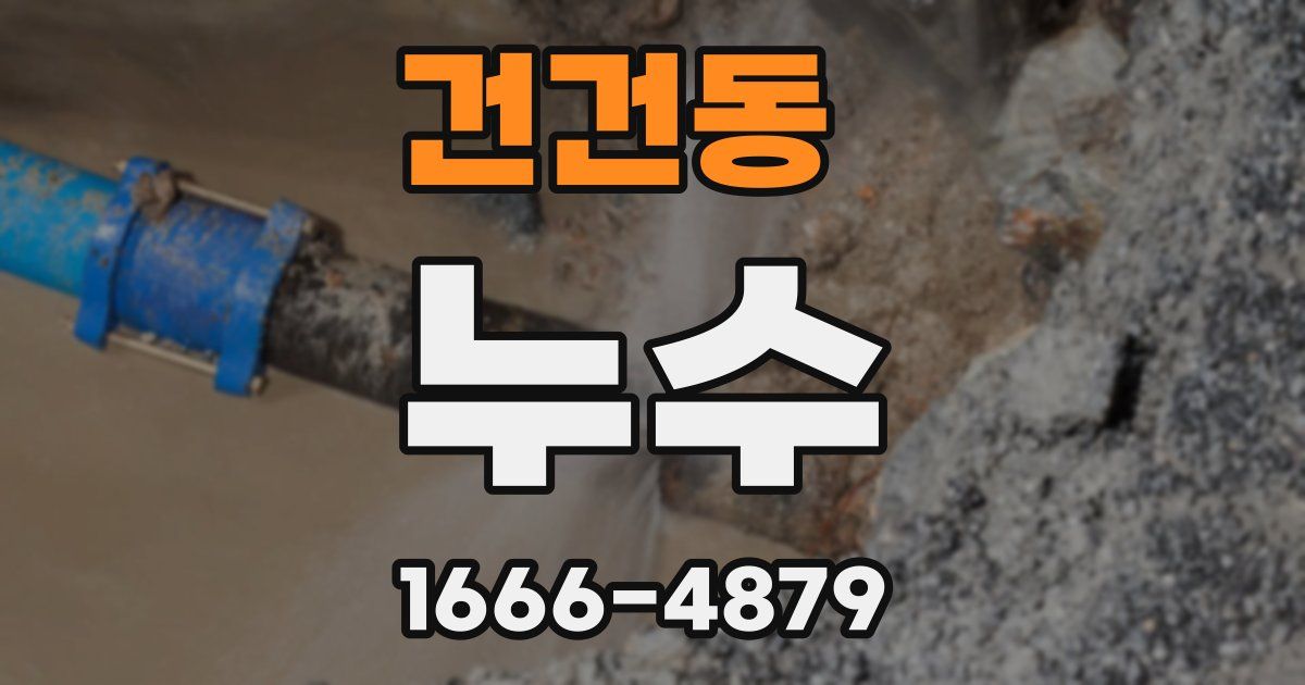 건건동 누수