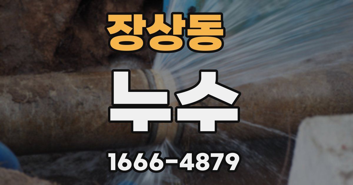 장상동 누수