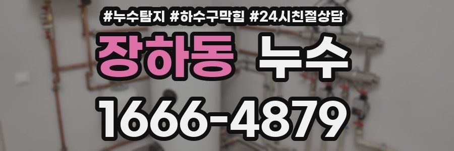 장하동 누수