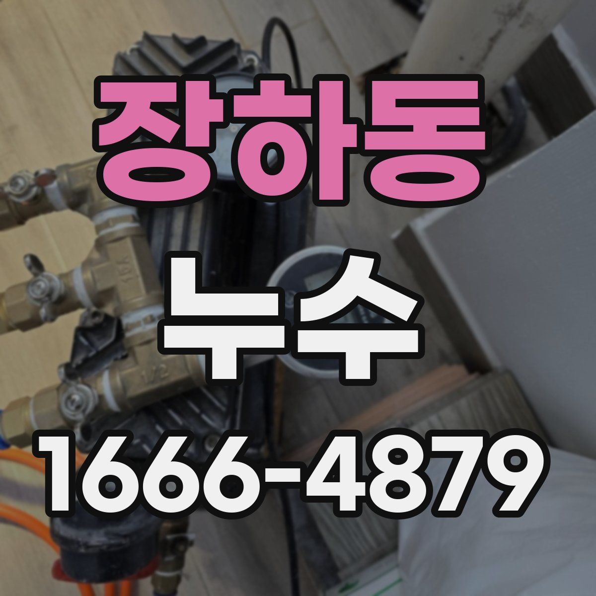장하동 누수