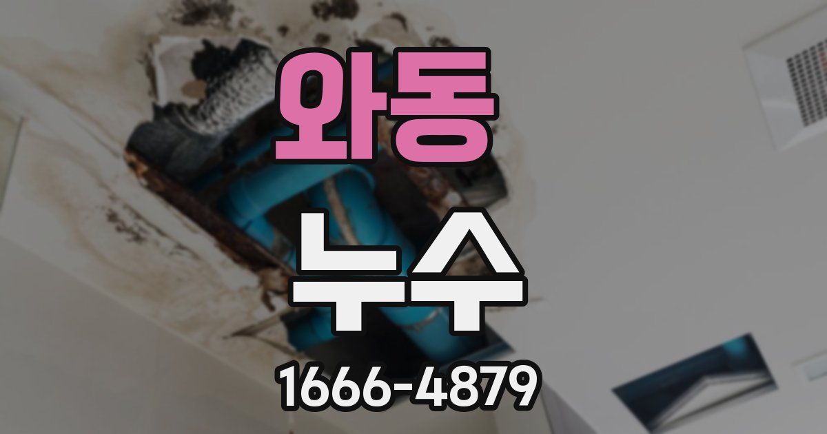 와동 누수
