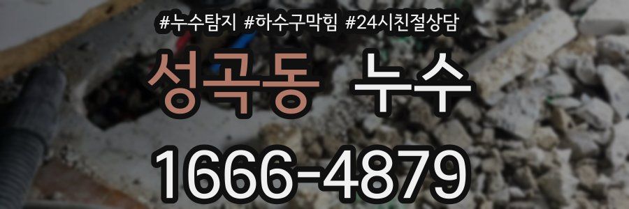 성곡동 누수